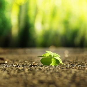 用力⋯哦⋯高潮⋯喷了公主
